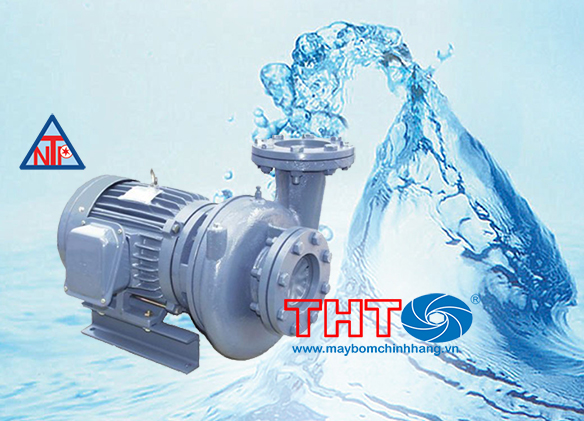 Máy bơm ly tâm dạng xoáy đầu Gang HVP240-1.75 20