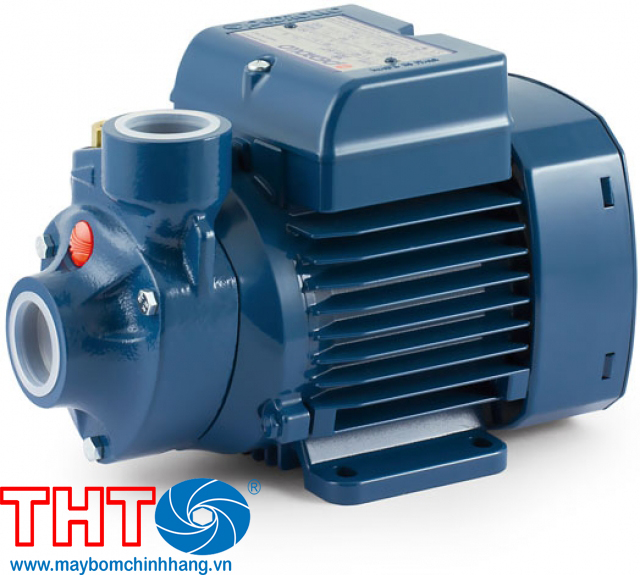 Bơm nồi hơi Pedrollo ( Cánh đồng) PKm 100 1.5HP