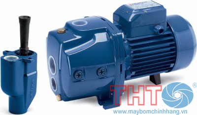 Bơm tự mồi đầu Jet 2 họng hút Pedrollo JDWm1A/20-4