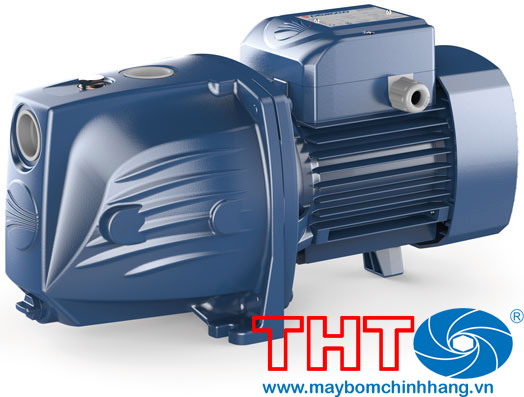Bơm tự mồi đầu Jet Pedrollo JSWm1C-N