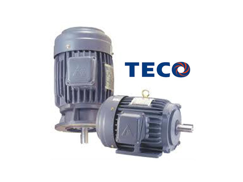 Motor kéo TECO, Động cơ điện TECO